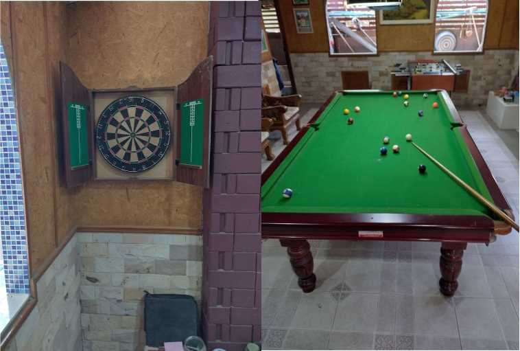 Billiards Darts